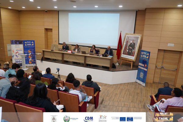 دورة تكوينية حول إعادة إدماج الشباب في نزاع مع القانون